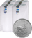 100 x 1 Unze Silber Krügerrand 2025