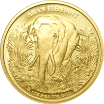 1 Unze Gold Kambodscha Asien Big Five Elefant 2023 (Auflage: 100)