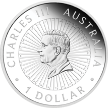 1 Unze Silber Great Southern Land Schlangenhaut Jaspis Opal Serie 2025 (Auflage: 5.000 | Polierte Platte)