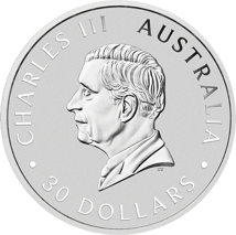 1 kg Silber Koala 2025