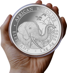 1 kg Silber Somalia Elefant 2018