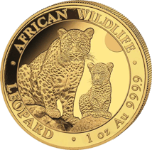 1 Unze Gold African Wildlife Somalia Leopard 2024 (Auflage: 1.000)