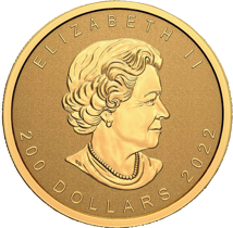 1 Unze Maple Leaf Ultra High Relief 2022 (Auflage: 600 Stück | Reverse Proof)
