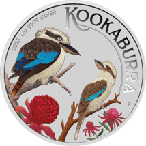 1 Unze Silber Kookaburra 2023 WMF (Auflage: 1.500 | coloriert)