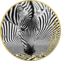 1 Unze Silber Zebra künstlerisch 2025 (Auflage: 100 | teilvergoldet)