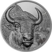 2 Unze Silber Mongolischer Bison 2025 (Auflage: 999 | High Relief | Black Proof)