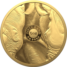 5 Unze Gold Big Five II Nashorn 2022 (Auflage: 50 | 2. Motiv | im Etui)