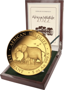 5 Unze Gold Somalia Elefant 2022 PP (Auflage: 50 | Polierte Platte)