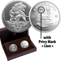 Big Five III Krügerrand Satz Privymark Set Löwe 2025 (Auflage: 1.000 | Polierte Platte)
