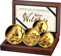 Gold Kongo World's Wildlife Löwe Set Löwe 2025 (Auflage: 300 | Polierte Platte)