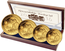 Gold Somalia Elefant Prestige Set PP 2016 (1/10oz - 1oz )