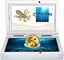 1 Unze Gold Ocean Five Oktopus 2023 PP (Auflage: 100 | Polierte Platte | Zertifikat Nr. 100)