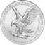 1 Unze Silber American Eagle 2024 (Typ II)