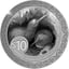 5 Unze Silber Kiwi 2025 (Auflage: 250 | Polierte Platte)